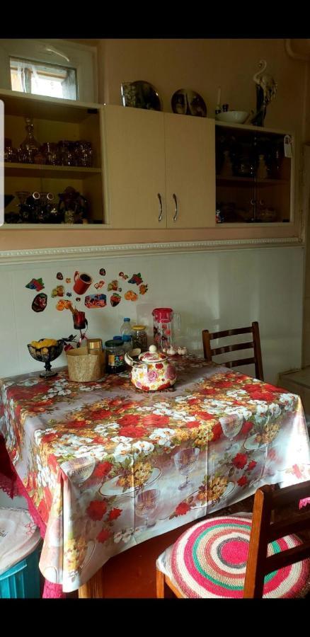 Guest House Dodo Stepantsminda Exterior photo
